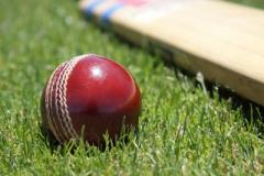 Cricket: Alderley's recovery not enough against champions
