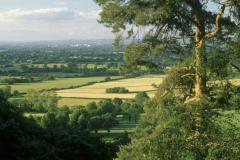 Alderley Edge is second most popular National Trust walk