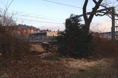 Safety concerns over removal of trees from railway