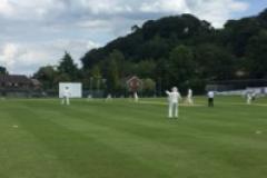 Cricket: Alderley's rise continues with thrashing of Toft