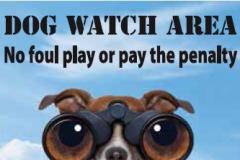 Communities urged to join Council’s campaign to crack down on dog fouling