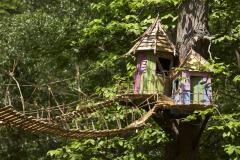 BeWILDerwood report released following commissioner's order