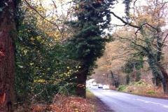 National Trust calls for speed reduction on Macclesfield Road