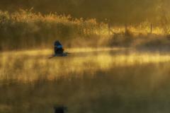 Reader's Photo: Heron flying across Black Lake