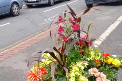 Aim to make village centre blooming beautiful