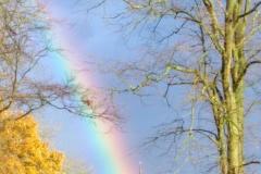 Reader's Photo: Rainbow over Alderley Edge cemetery