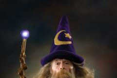 The Wizard's Halloween bash