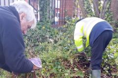 Call for plant donations as work continues to make the village bloom