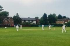 Cricket: Alderley rise to second after Cheadle demolition