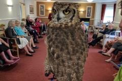 Residents of local care home get flying visit from birds of prey
