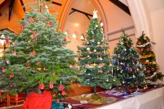 In Pictures: Church lit up for Christmas tree festival