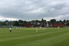 Cricket: Alderley fall just short against Bramhall
