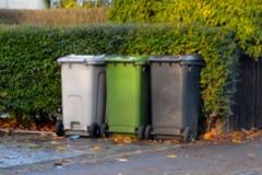Green bin savings not in the pot for road repairs