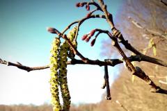 Reader's Photos: Spring is in the air