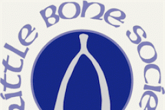 Brittle Bones charity fair comes to Alderley Edge