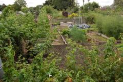 Action group forming to fight allotment plans