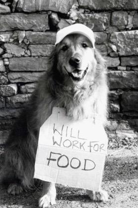 WORK FOR FOOD