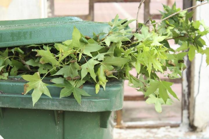 garden waste