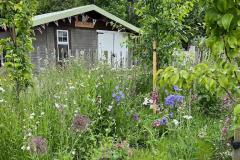 Allotments holders to open their gates again for local hospice