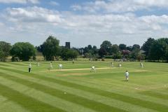 Cricket: Robinson's runs sink Alderley again