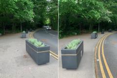 Planters installed to discourage parking on the pavement