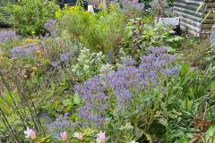 Allotment holders open their gates to support May Fair