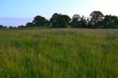 Developer eyes up Green Belt land for 50 new homes