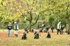 Enthusiastic bunch join mass bulb planting