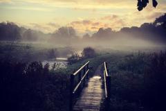 Reader's Photo:The Bollin Way at Wilmslow park