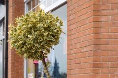 Vandals wreck another planter