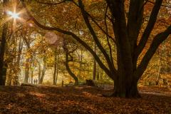 Reader's Photo: A walk on The Edge