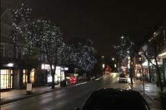 Parish Council invests in new Christmas lights
