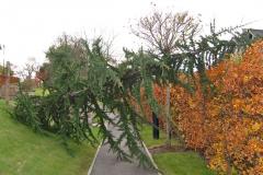 Severe winds hit Alderley