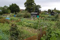 Volunteers required as allotment shop reopens