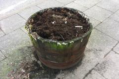 Planters in need of urgent attention