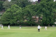 Cricket: Dramatic weekend in league and cup for Alderley