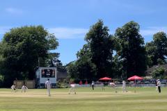 Cricket: Stand-out weekend for Perry seals cup victory and cushions league defeat