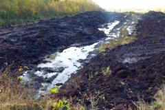 Restoration phase to get underway at Lindow Moss