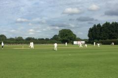 Cricket: Perry hundred sinks champions