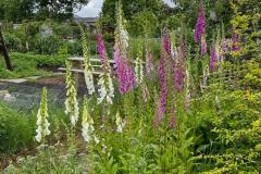 Allotment gates to open for May Fair