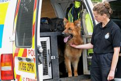 Cheshire Police Dog Unit on the hunt for new talent