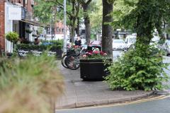 Blooming success for planter appeal