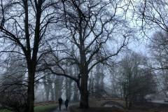 Reader's Photos: The fog before dark