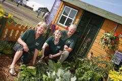 Become a waste reduction volunteer