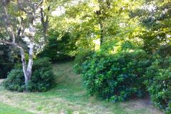 Embankment improvements underway
