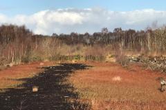 Festival of Nature encourages everyone to discover more about Wilmslow