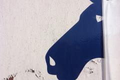 Challenge 6: Where in Alderley Edge was this photo taken?
