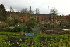 Plans to relocate allotments rely on land transfer