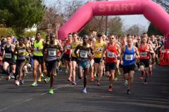 Last chance to run the 2017 Waters® Wilmslow Half Marathon