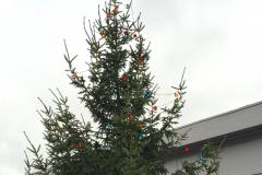 There will be three Christmas trees again in Alderley